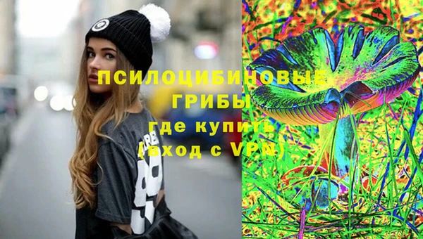 Альфа ПВП Арсеньев