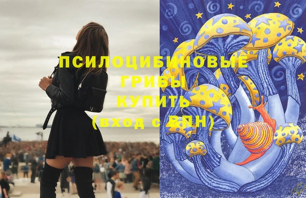 ALPHA PVP Армянск