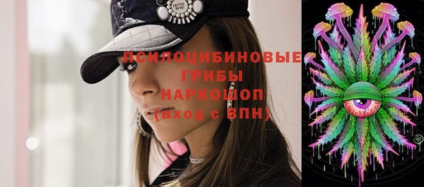 трава Аркадак