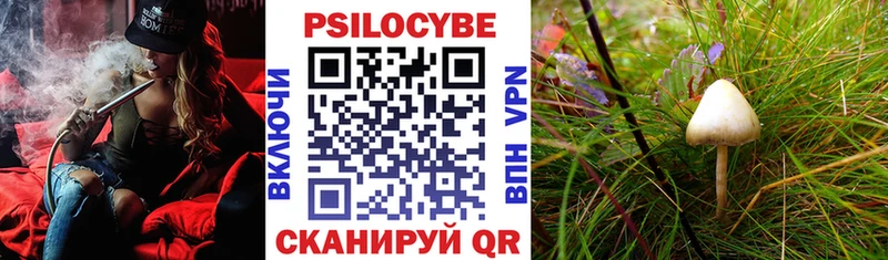Псилоцибиновые грибы Psilocybe  продажа наркотиков  Великий Устюг 